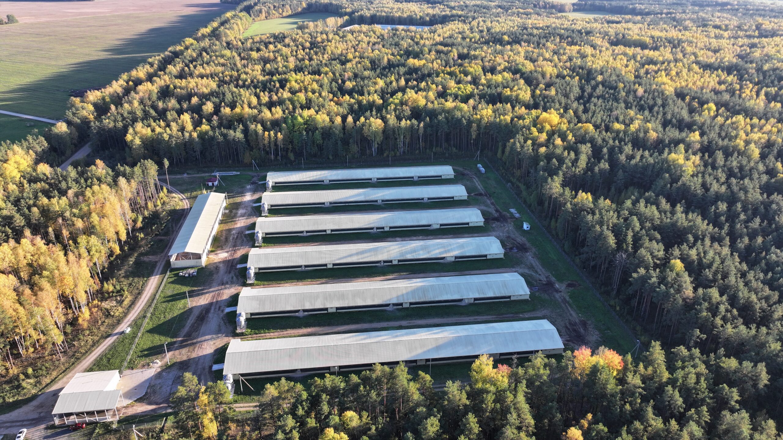 Huge turkey farm surrounded by forest. Turkey meat production facility. Environmentally friendly enterprise (raising cows, chickens, rams). Buildings of a modern farm. Pens for livestock.